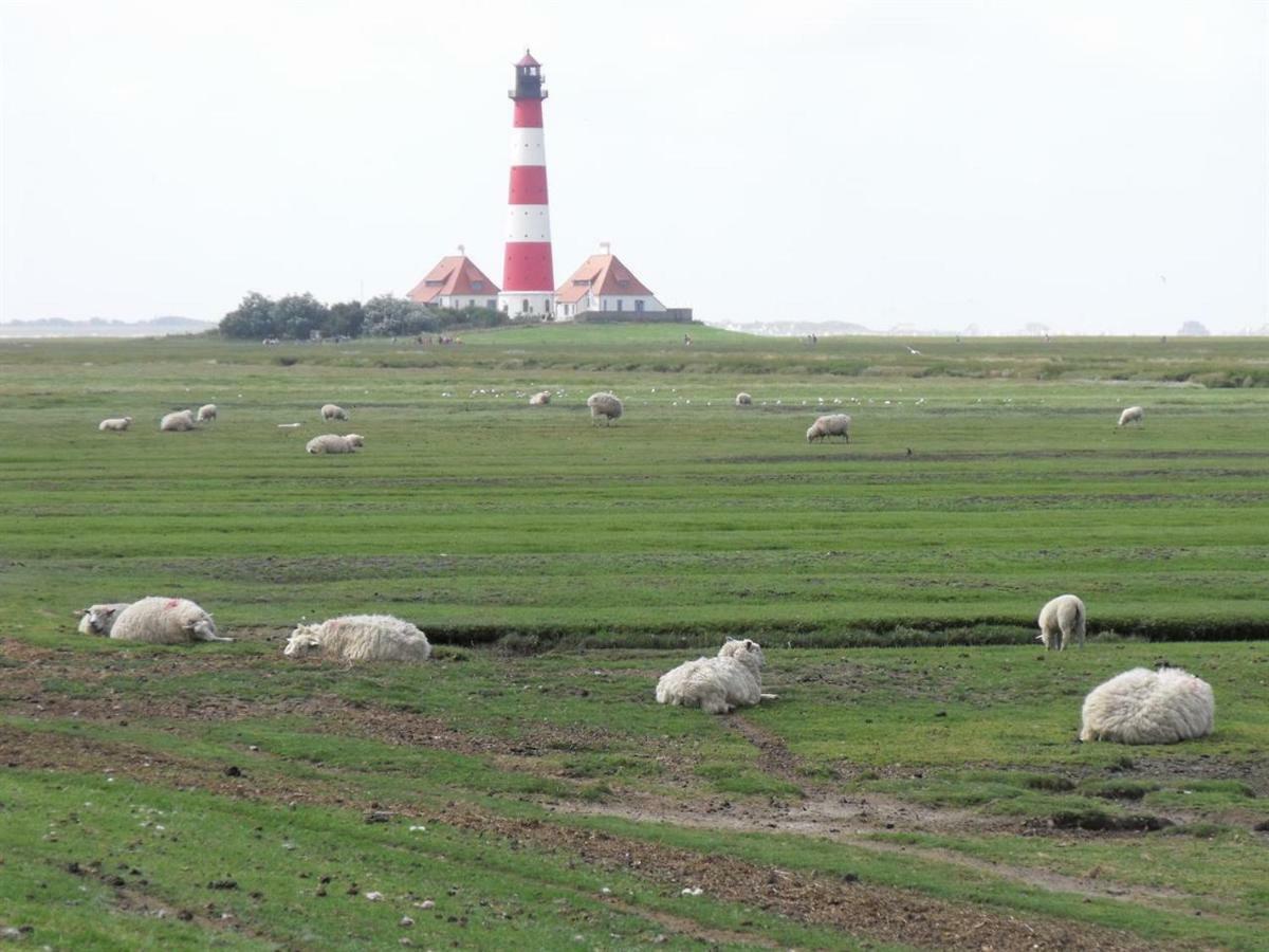 Appartement Deichgans - Haus Loreley Sankt Peter-Ording Dış mekan fotoğraf